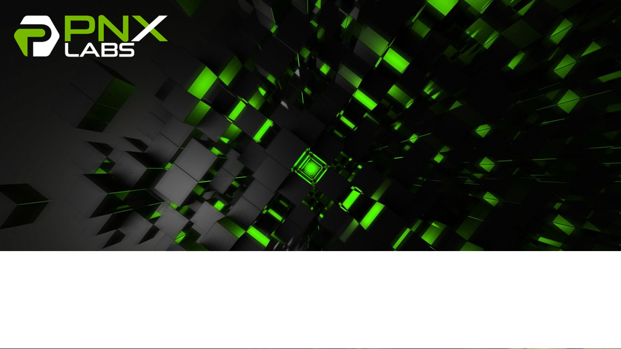 PNXLabs Example Slide 1