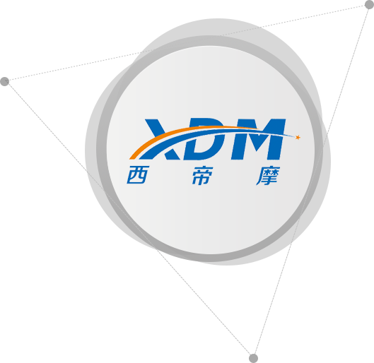 XDM 3D Logo